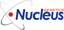 NUCLEUS